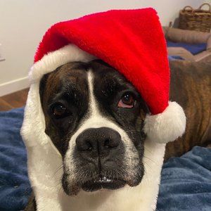 Meet your Posher, Angie